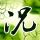 阿里巴巴